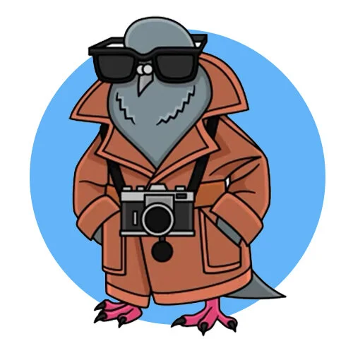 Цветной пример раскраски шпиониро голубиро итальянские животные