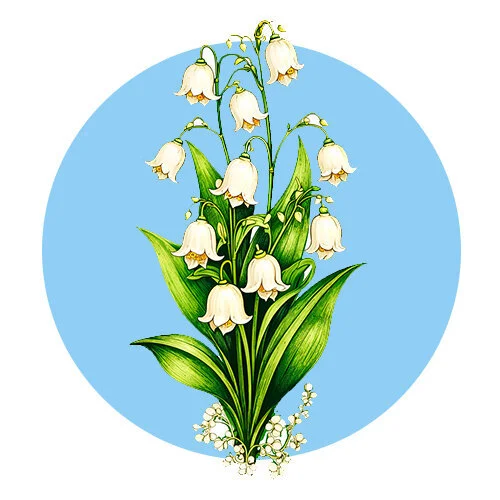 Цветной вариант раскраски ландыши цветочки