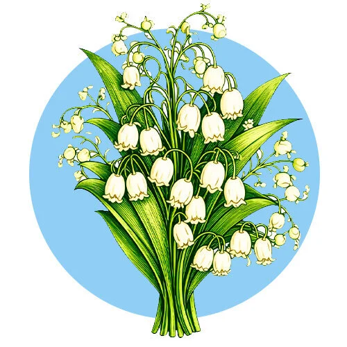 Цветной вариант раскраски ландыши букетик