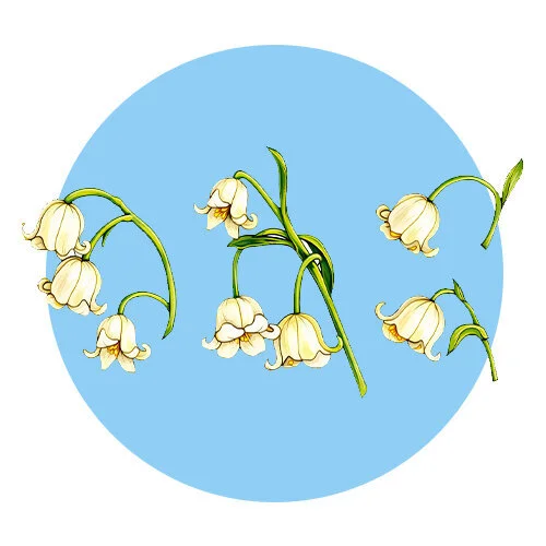 Цветной вариант раскраски ландыши малыши