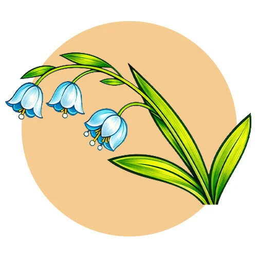 Цветной вариант раскраски ландыши весенние цветы