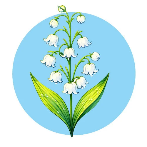 Цветной вариант раскраски ландыши красиво цветут