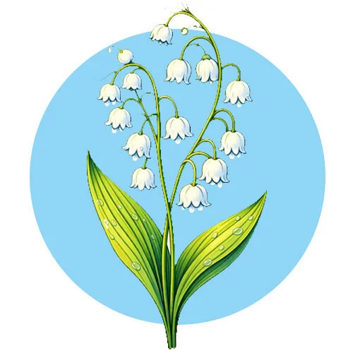 Цветной вариант раскраски ландыши распустились