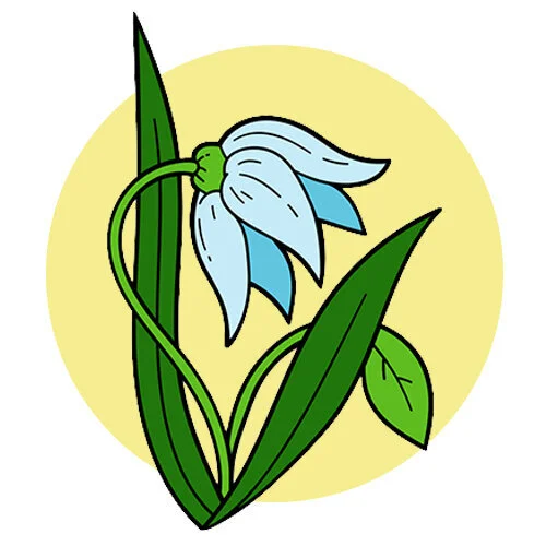 Цветной вариант раскраски один ландыш