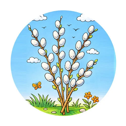 Цветной пример раскраски верба веточка