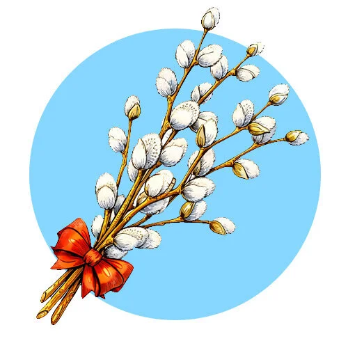 Цветной пример раскраски верба с бантиком