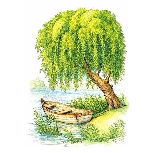 Цветной пример раскраски парк с деревом верба