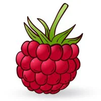 Цветной вариант раскраски сочная малина