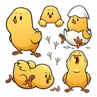 Цветной вариант раскраски цыплята