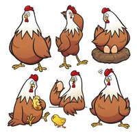 Цветной пример раскраски птица курица