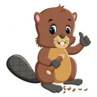 Цветной пример раскраски милый бобер с карандашом