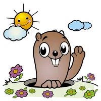 Цветной вариант раскраски милый зверек суслик