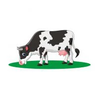 Цветной вариант раскраски корова пасется на лугу