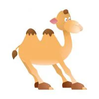 Цветной вариант раскраски верблюд падает