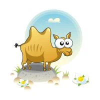 Цветной пример раскраски верблюжонок на камне