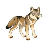 Цветной пример раскраски волк-вожак