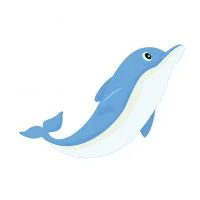 Цветной вариант раскраски дельфин смотрит вверх