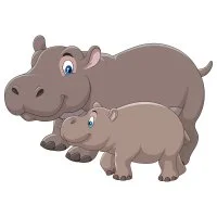 Цветной пример раскраски мама и детеныш бегемоты