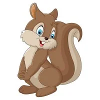 Цветной вариант раскраски милый пушистик белочка