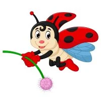 Цветной пример раскраски с цветочком божья коровка