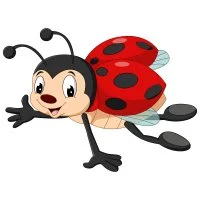 Цветной вариант раскраски летающее насекомое божья коровка