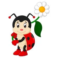 Цветной вариант раскраски с ромашкой в лапках божья коровка