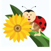 Цветной вариант раскраски в цветке божья коровка