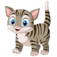 Цветной вариант раскраски дымок полосатый котик