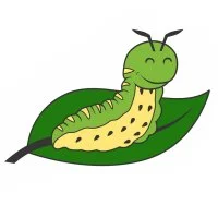 Цветной пример раскраски гусеница на листочке