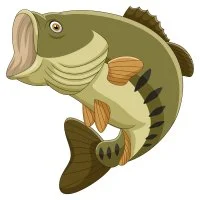 Цветной пример раскраски речной окунь рыба