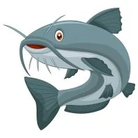 Цветной вариант раскраски большой сом с усами