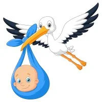 Цветной вариант раскраски аист и малыш