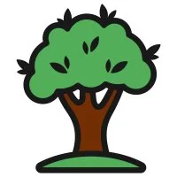 Цветной вариант раскраски дерево с листочками