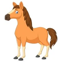 Цветной пример раскраски полевой жеребец