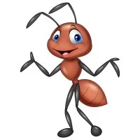 Цветной вариант раскраски муравей с тоненькими усиками