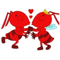 Цветной вариант раскраски влюбленная парочка муравей