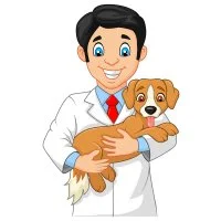 Цветной вариант раскраски ветеринар профессия