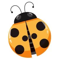 Цветной вариант раскраски простой рисунок божья коровка