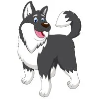 Цветной вариант раскраски добрая собачка хаски