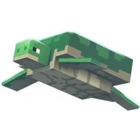 Цветной вариант раскраски черепаха