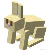 Цветной вариант раскраски кролик, заяц, животные