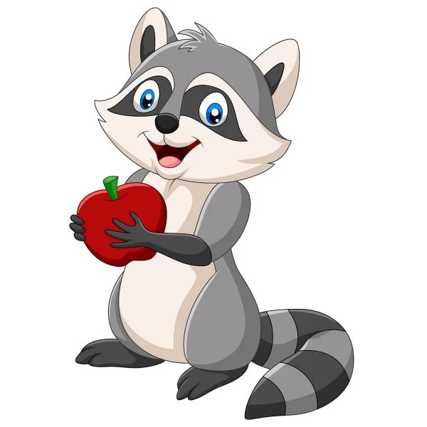 Цветной вариант раскраски милый енот с яблочком