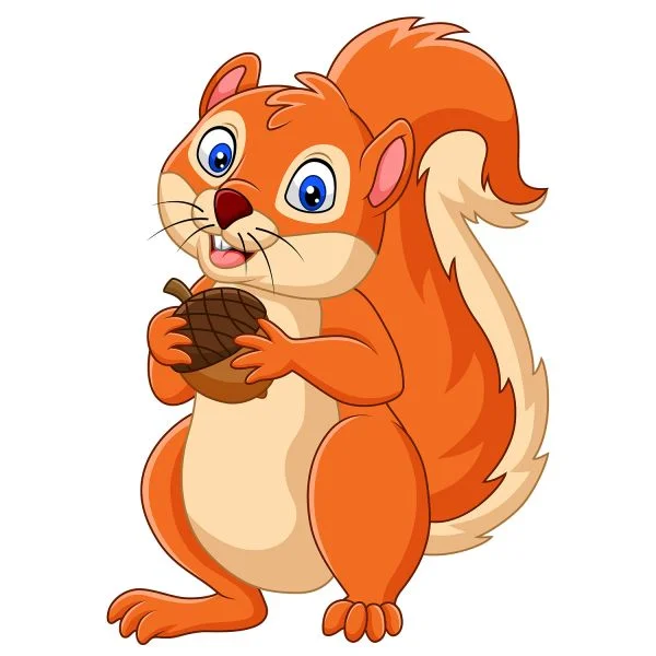 Цветной пример раскраски белочка с пушистым хвостиком