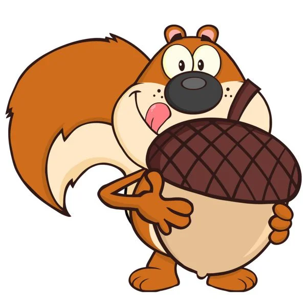 Цветной вариант раскраски смешная белка