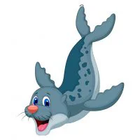 Цветной пример раскраски морской котик