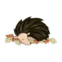 Цветной вариант раскраски ежик спит на листочках