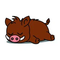 Цветной вариант раскраски маленький кабан спит