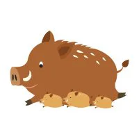 Цветной вариант раскраски папа кабан и три кабанчика