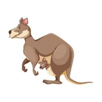 Цветной вариант раскраски кенгуру с кенгуренком в сумке