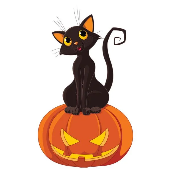 Цветной вариант раскраски черный кот и тыква хэллоуин